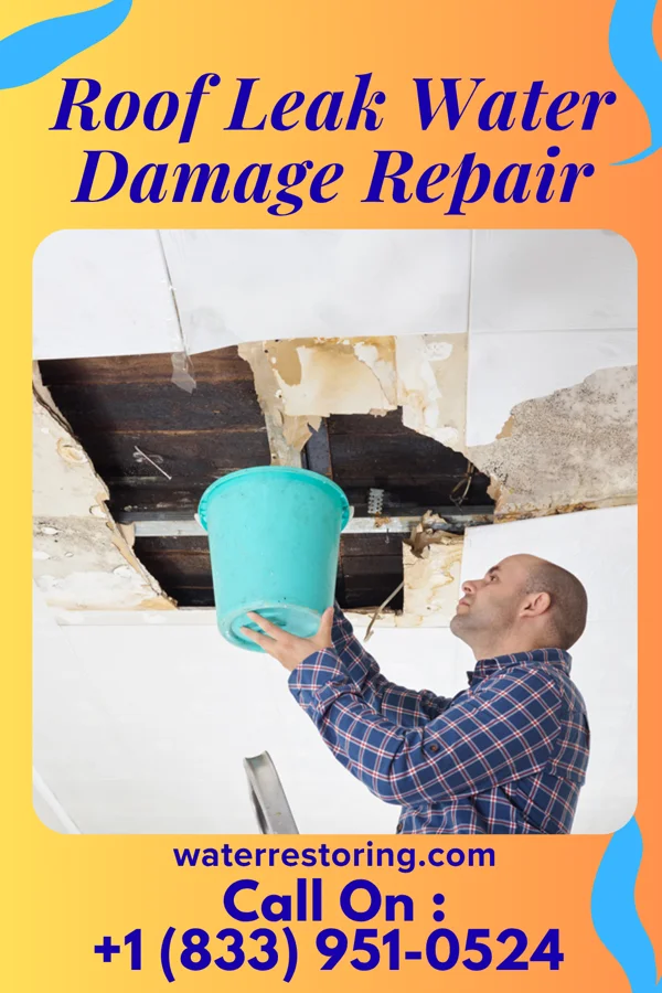 Roof Leak Water Damage Repair in Addison, MI